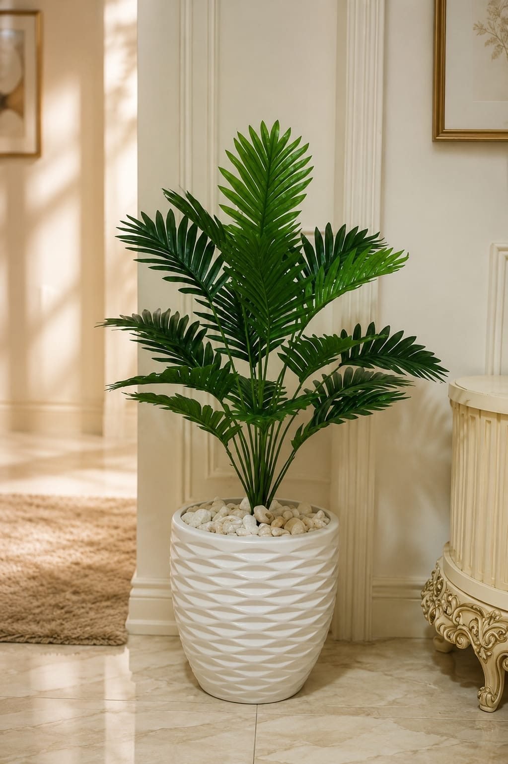 Areca plam