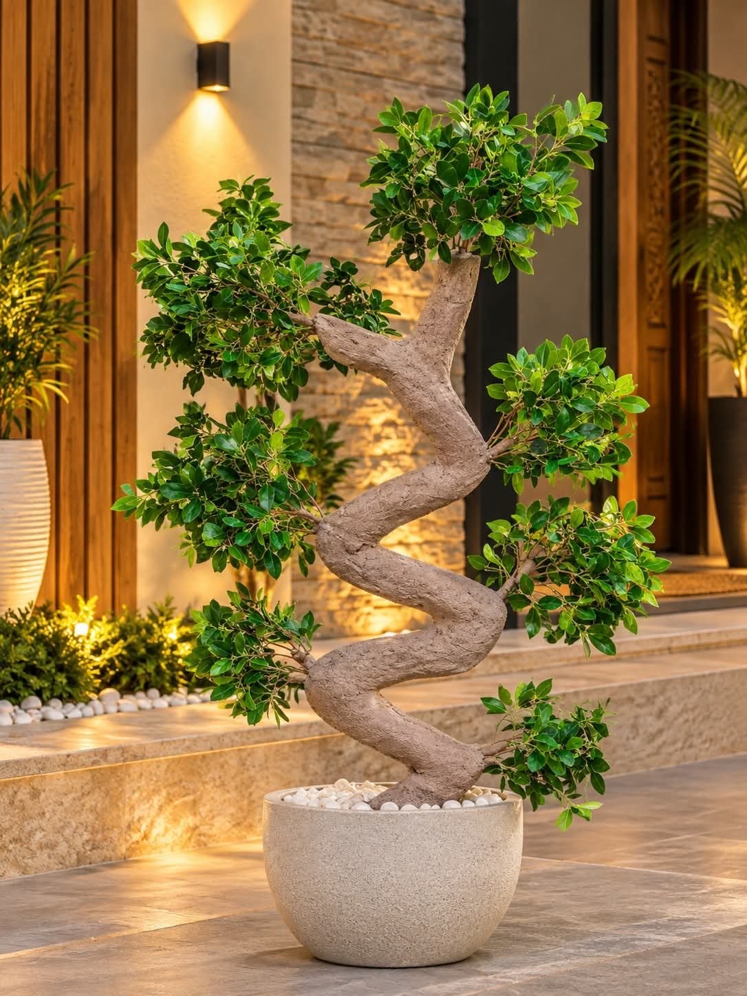 Bonsia Tree