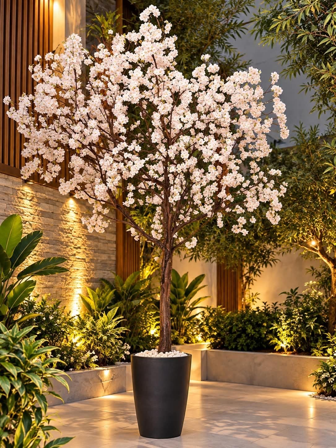 🌸 شجرة ورد شيري أبيض