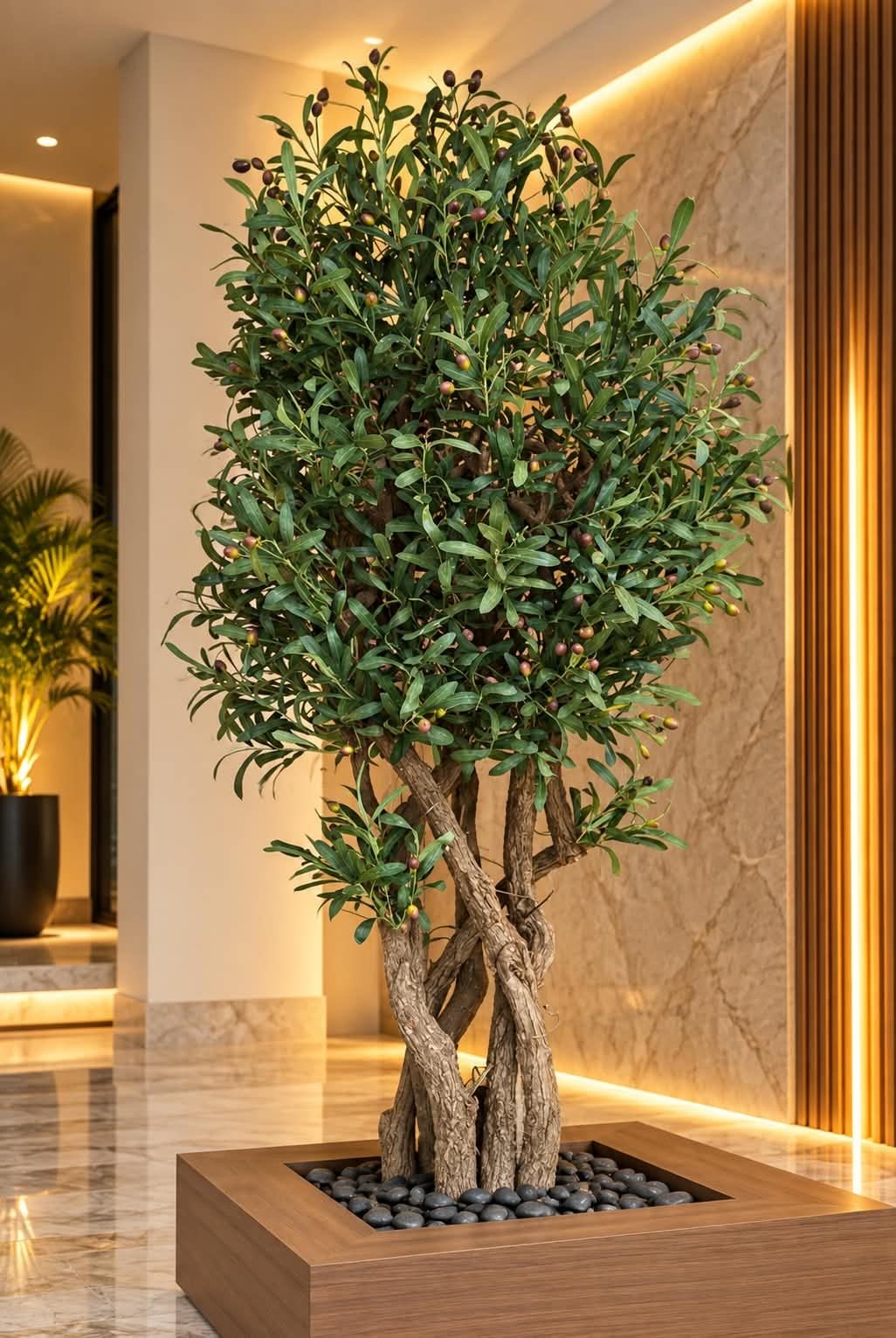 🌿 Olive Tree