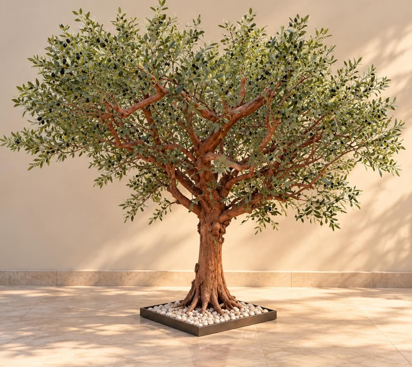 🌿 Olive Tree 🌿
