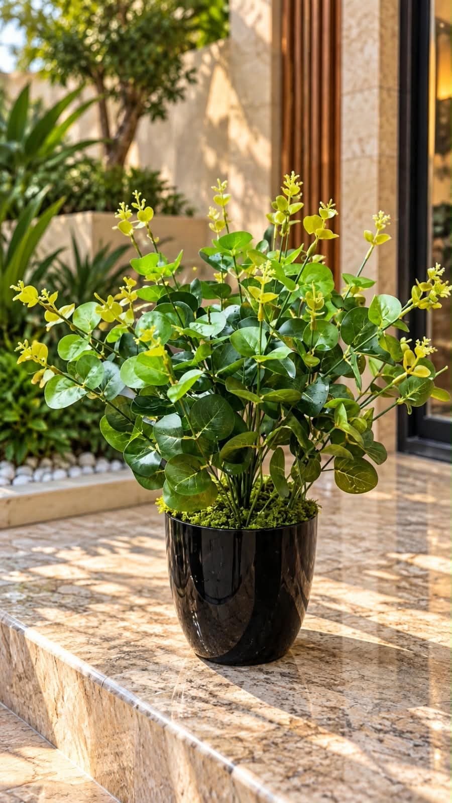 🌿 نبات أخضر ديكوري