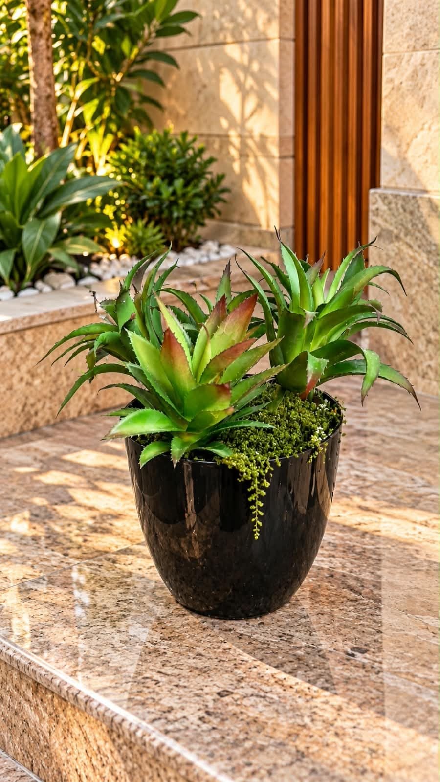 🌿 نبات عصاري ديكوري