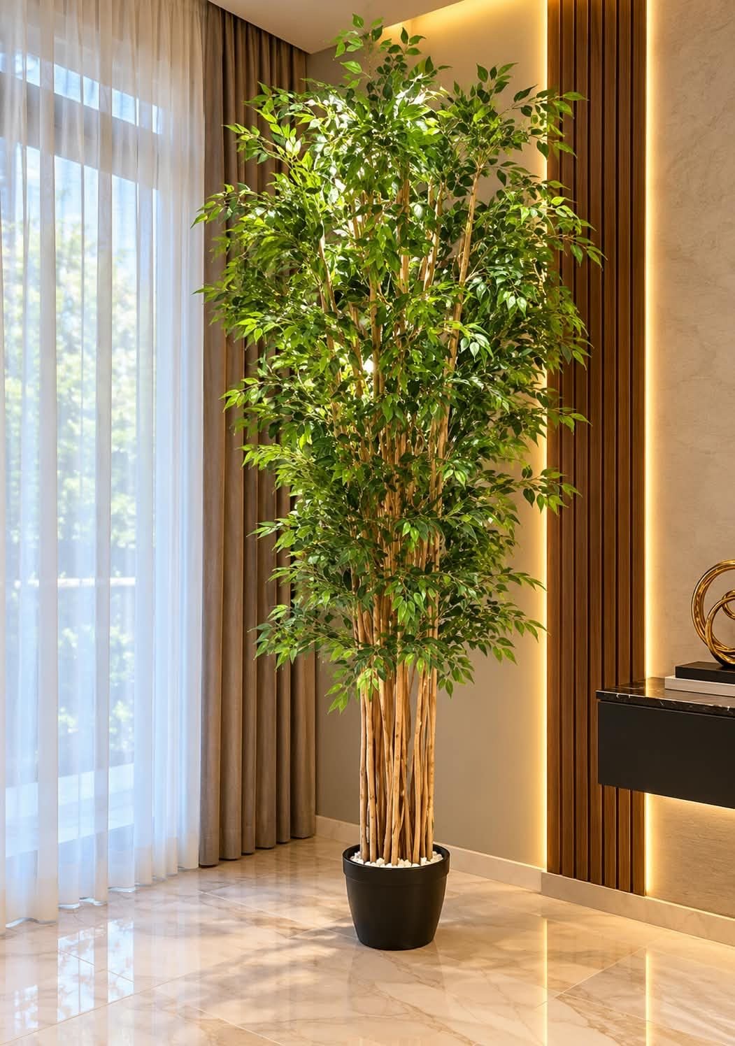 🌿 شجر بامبو أفريقي
