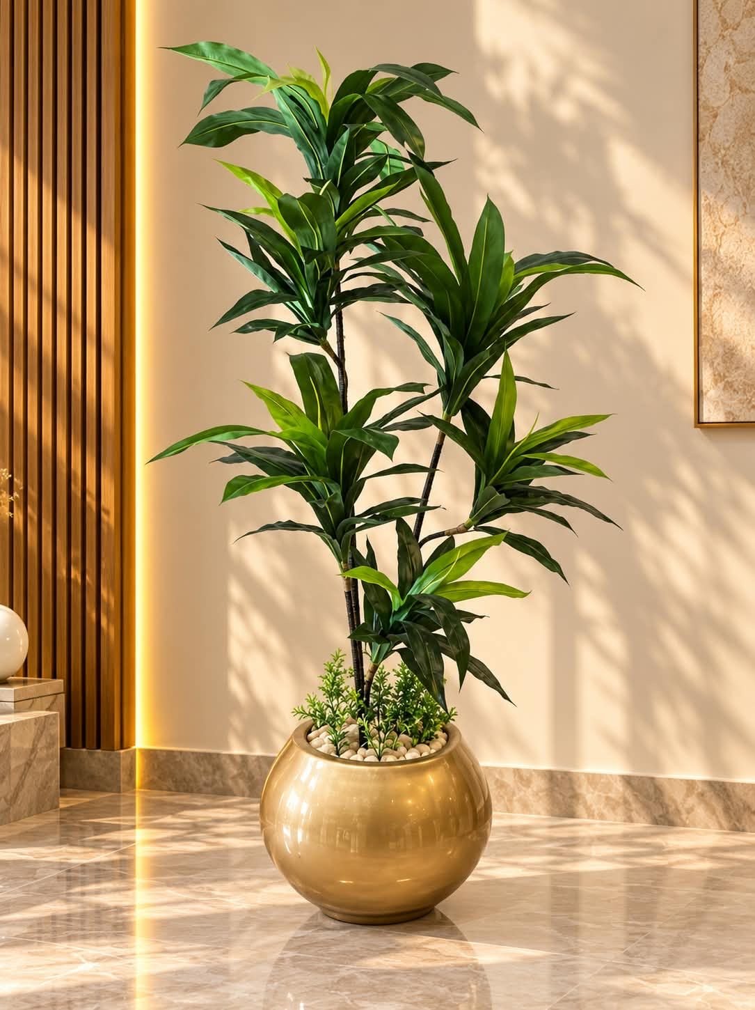 🌿 شجرة دراسينا