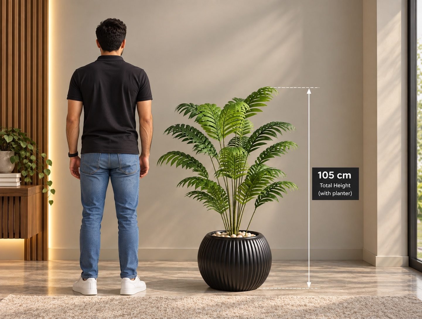 Cyicas palm