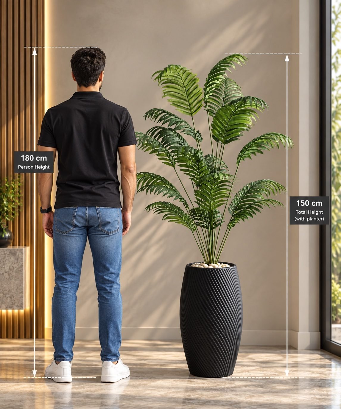 Cycas tree with pot