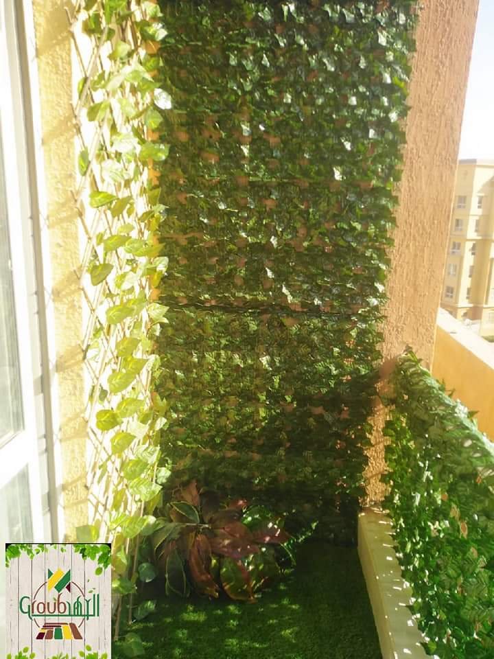 Green leaves roll