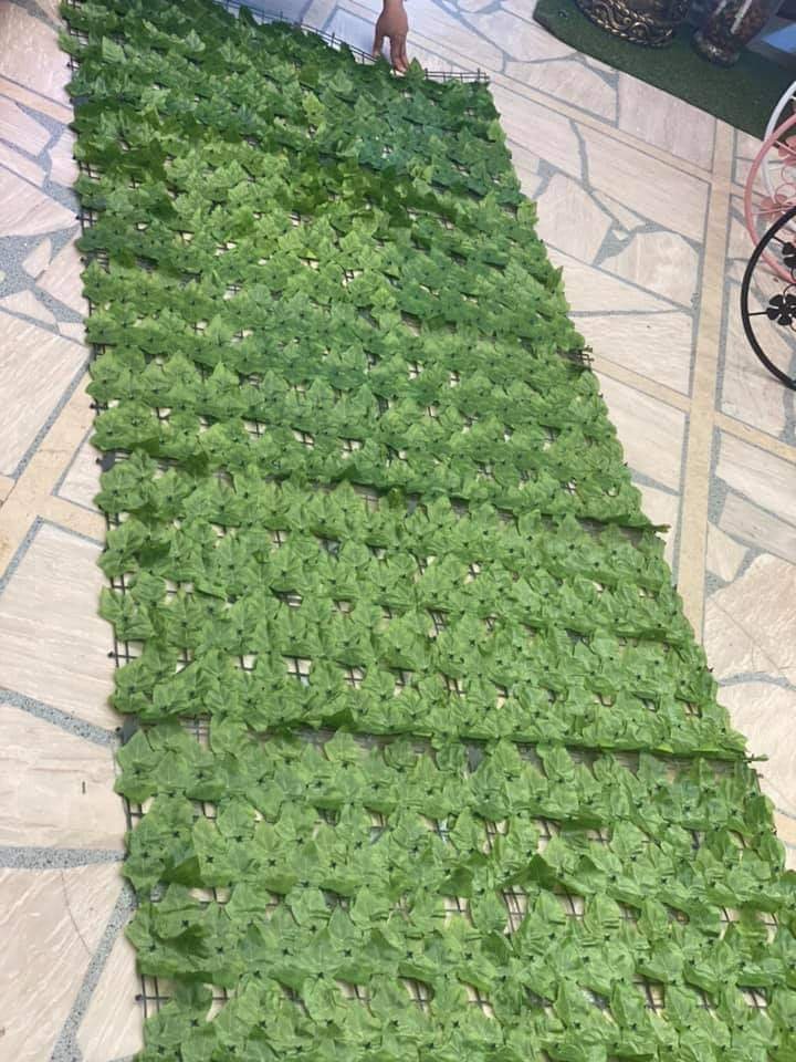 Green leaves roll