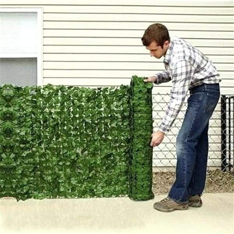 Green leaves roll