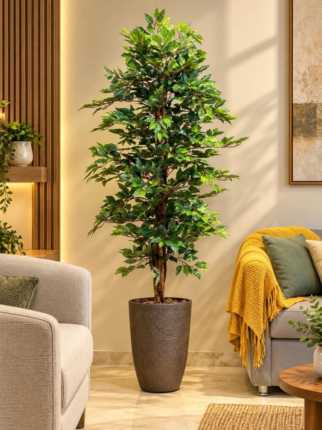 🌿 شجرة بنجامينا