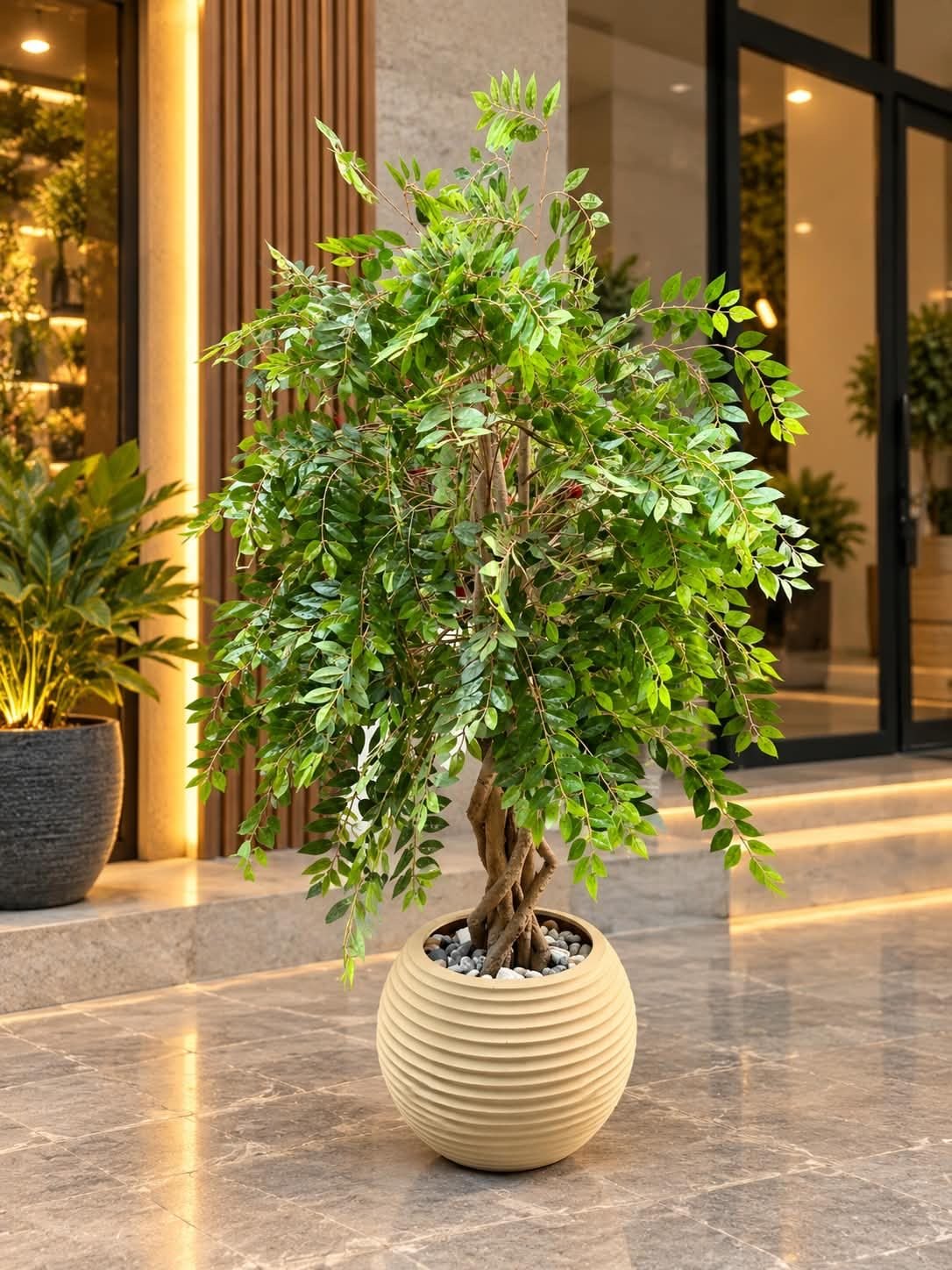 🌿 شجرة صفصاف أنيقة