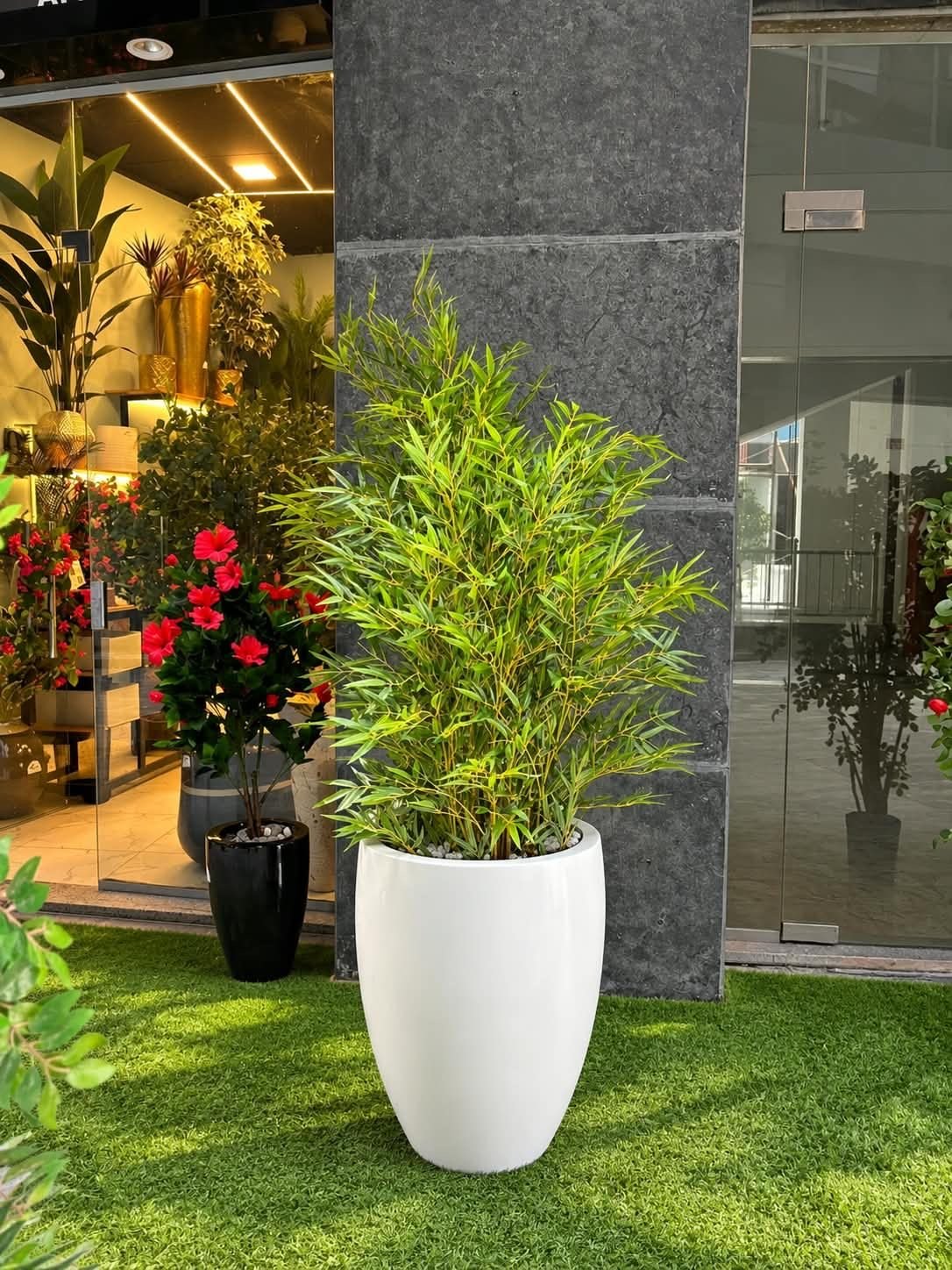 🌿 شجرة بامبو