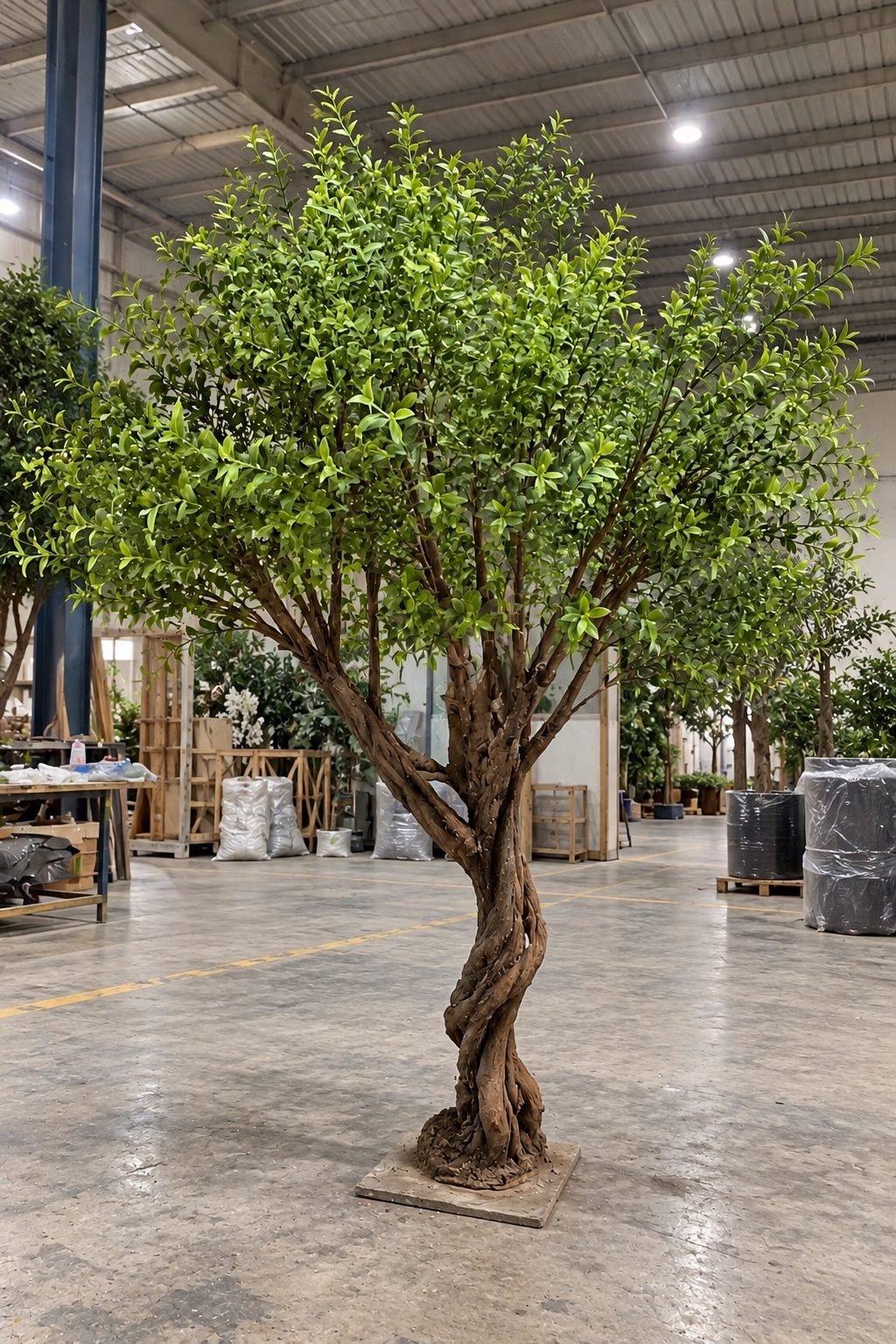 Majestic Braided Green Tree