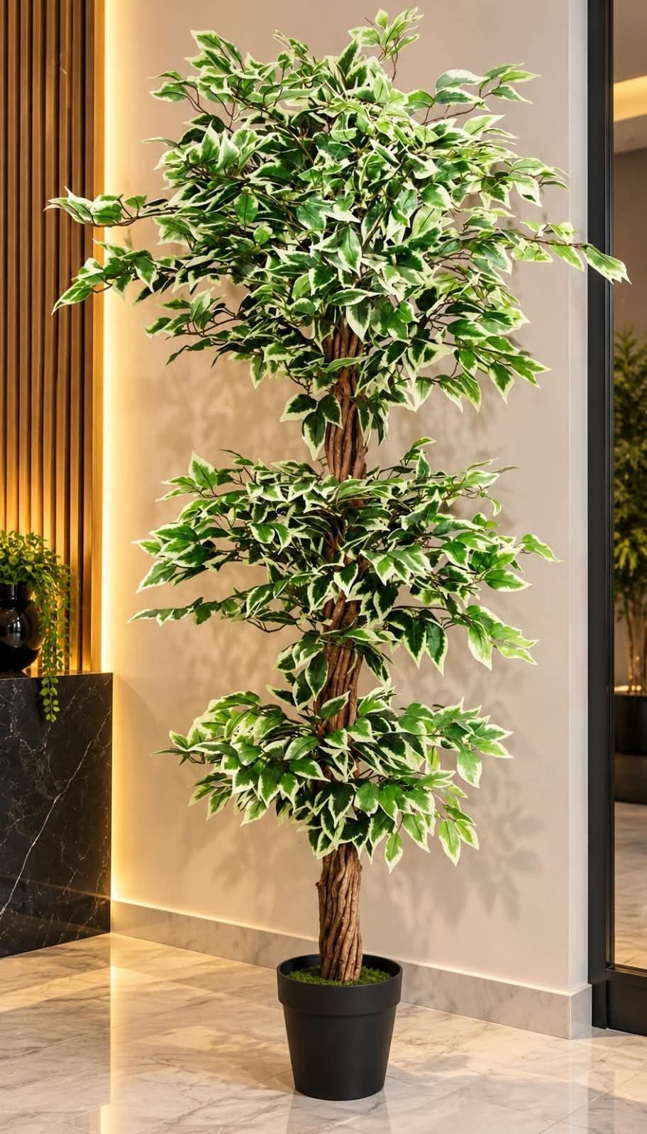 🌿 شجرة هواوي