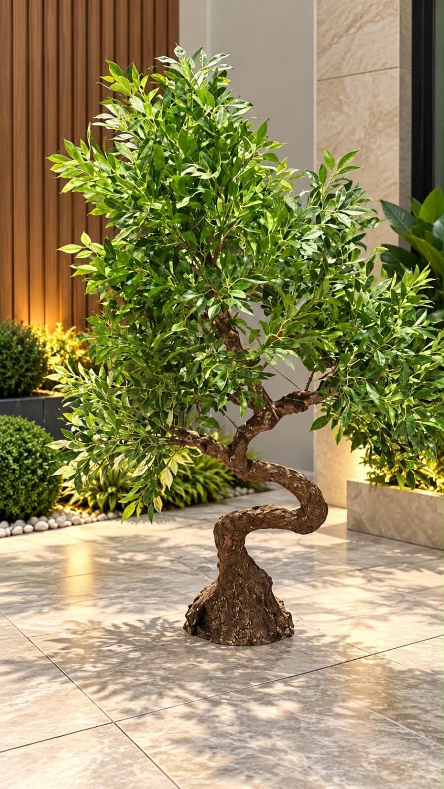 🌿✨ شجرة بونساي