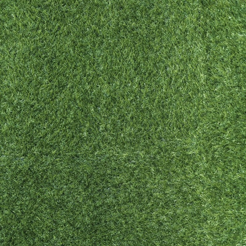 نجيل طبيعي رول